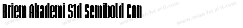 Briem Akademi Std Semibold Cond字体转换